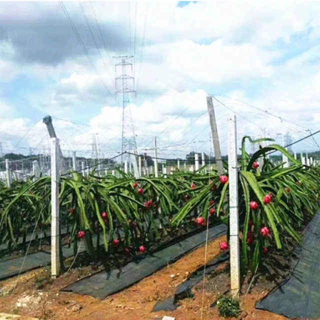 Mezőgazdasági Anti-Fűszövet 1*3M Farm-Orientált Gyomi Gát Szőnyeg Műanyag Talajtakaró Vastagabb Gyümölcsös Kerti Gyomirtószövet - Image 6