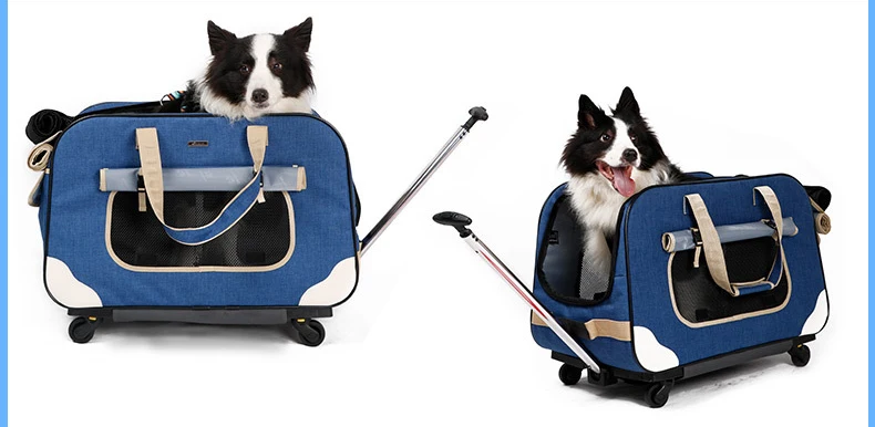 Hfcec8072e91e458894fe68fa22258ca1y