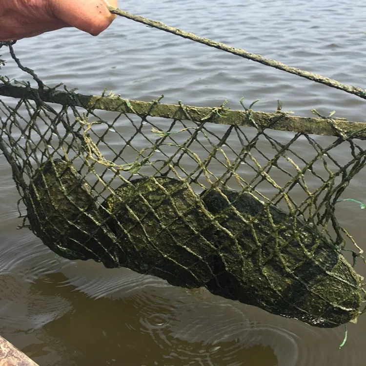 HTB1lMGFX_XYBeNkHFrdq6AiuVXau