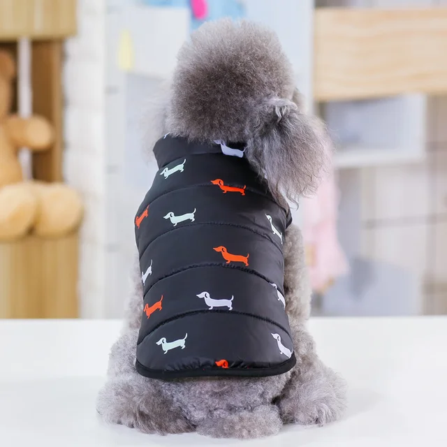 black-dog