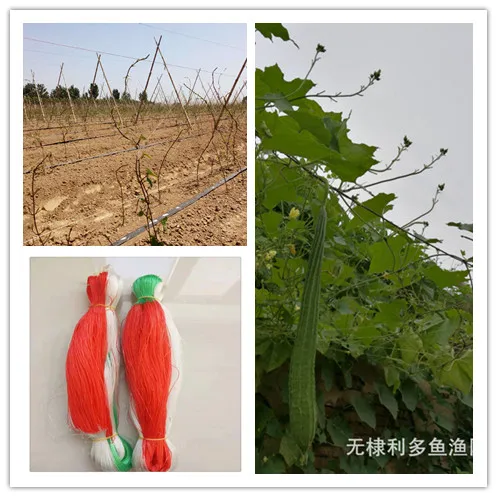 Сетка Yam для выращивания огурцов садовая сетка из ротанга 2 м * 50 70 100 | Дом и сад