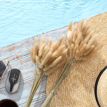 

50/100 Pcs Natural Dried Pampas Grass Decor Home Wedding Dried Flowers Rabbit Tail Grass Indoor Decoration Props Plants Ornament