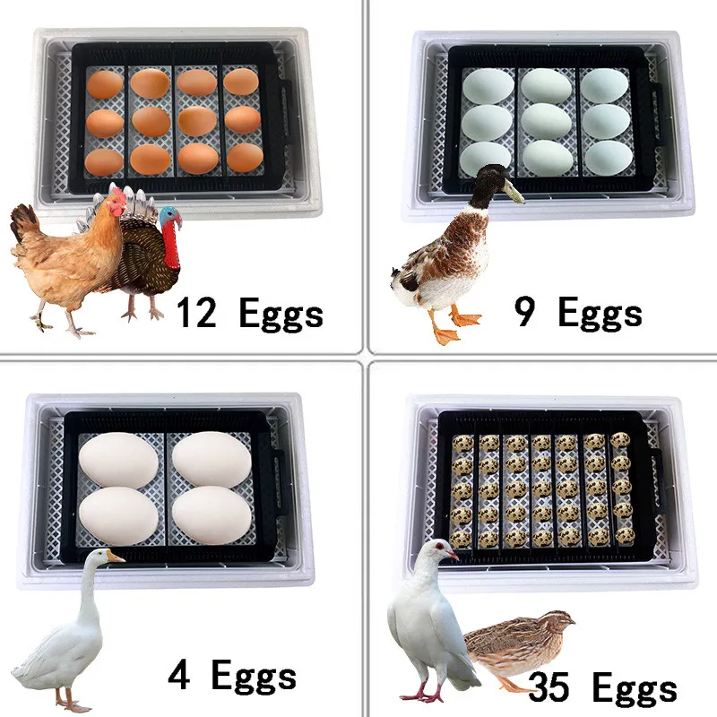 Full Automatic Incubator Hatchery Brooder Machine Automatic Eggs Incubator Bird Quail Brooder New Design Hatchery  Farm Chicken