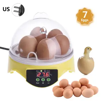 

Mini Egg Incubator Automatic Incubator Duck Bird Egg Small Poultry Incubator Digital Chicken Breeding Box Hatchery Egg Incubator