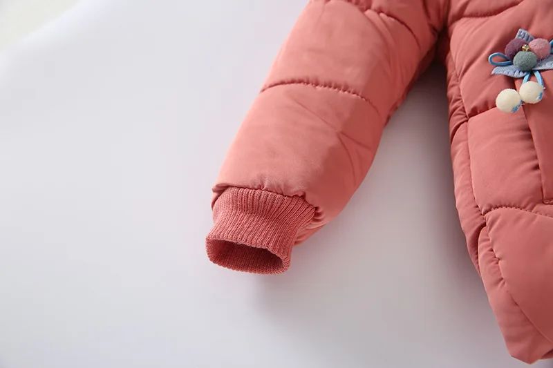 17600650916_188155935