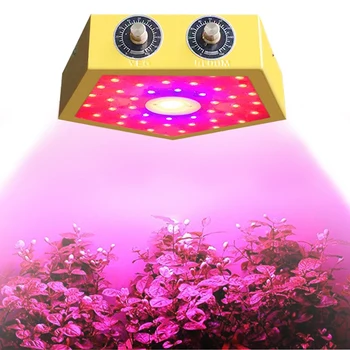 

LED Grow Light COB Chip Phyto Lamp Full Spectrum 1000W for Indoor Plant Seedling Grow and Flower Growth Lamp US Plug