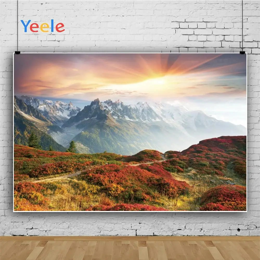 Yeele пейзаж Фотофон лес горы Sunrise фотография фоны персонализированные фотографические фоны для фотостудии
