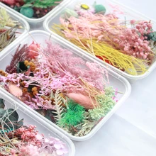 Аксессуары для фотосъемки, сделай сам, подарок для изготовления ювелирных изделий, свадебные ароматерапевтические свечи, сушеные цветочные орнаменты, смешанные коллекционные изделия