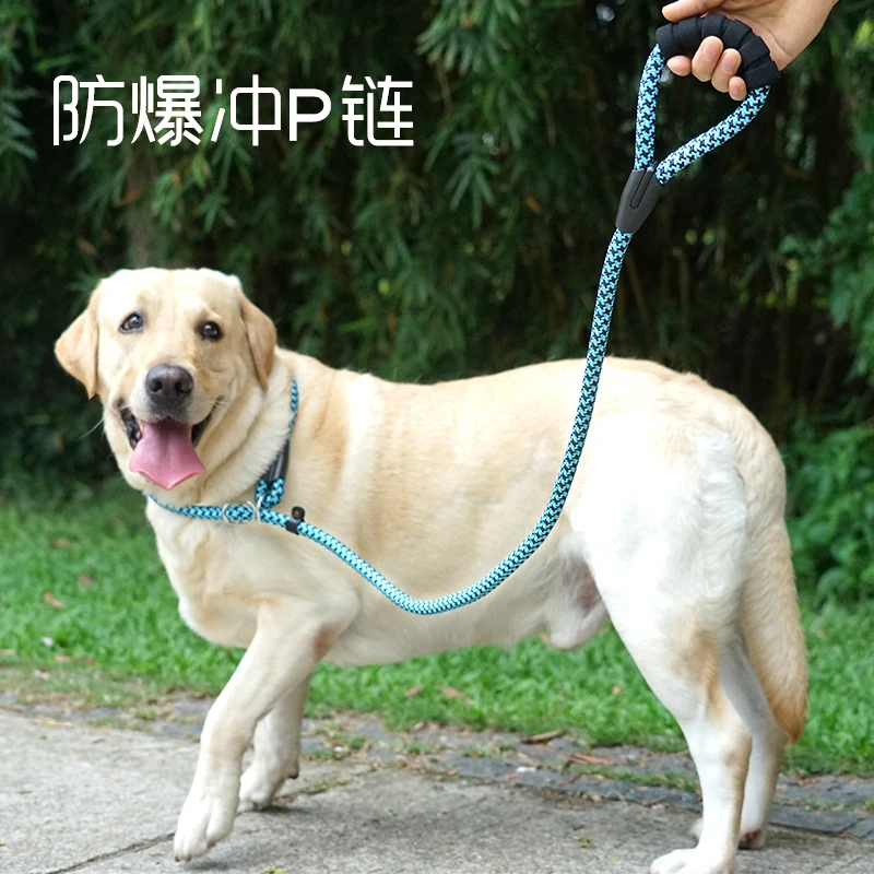 labrador chain collar