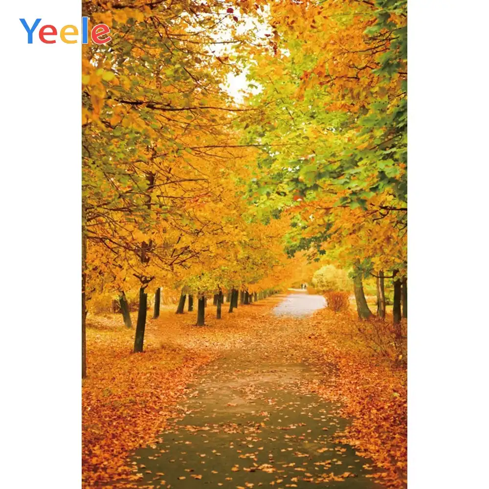 Bosque De Otono Hojas Rojas Camino Naturaleza Paisaje Baby Shower Fondo De Fotografia De Fondo Para Foto De Estudio Photophone Aliexpress