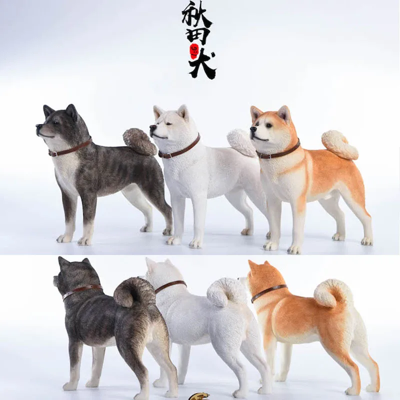 1/6 г. Mr.Z JXK японская собака Akita Inu детская игрушка подарок коллекция украшение для
