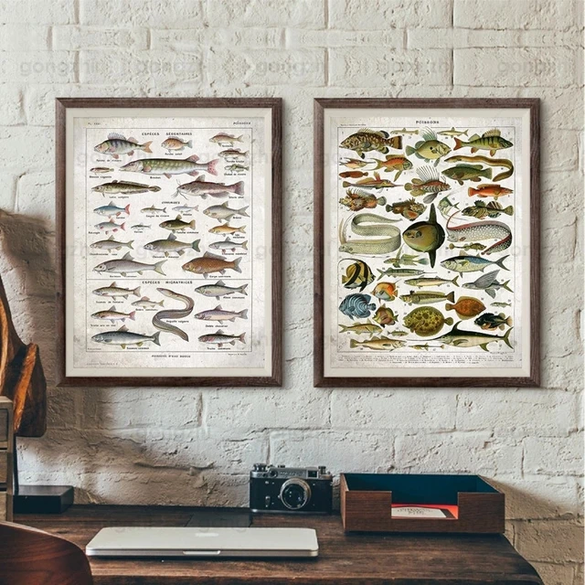 Featured Hand-Painted Variety of Fish Fishing Enthusiasts Living