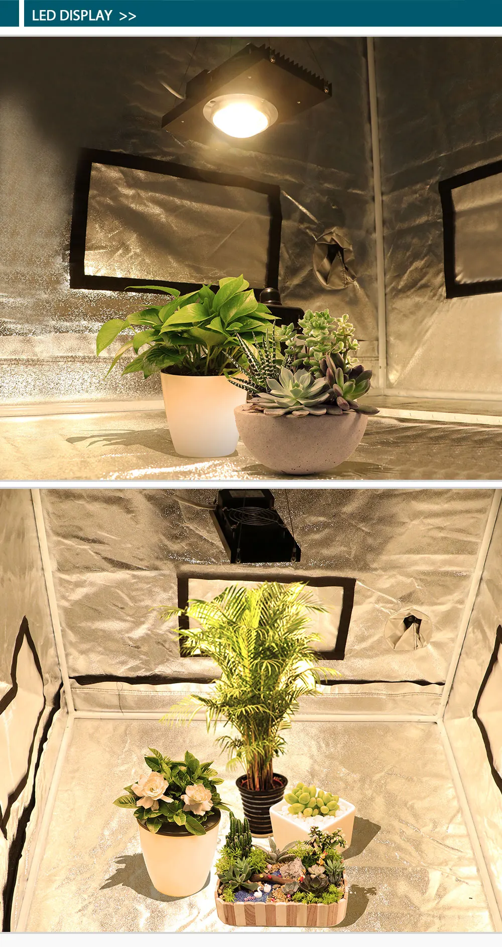 100丨200W-黑植物灯_09