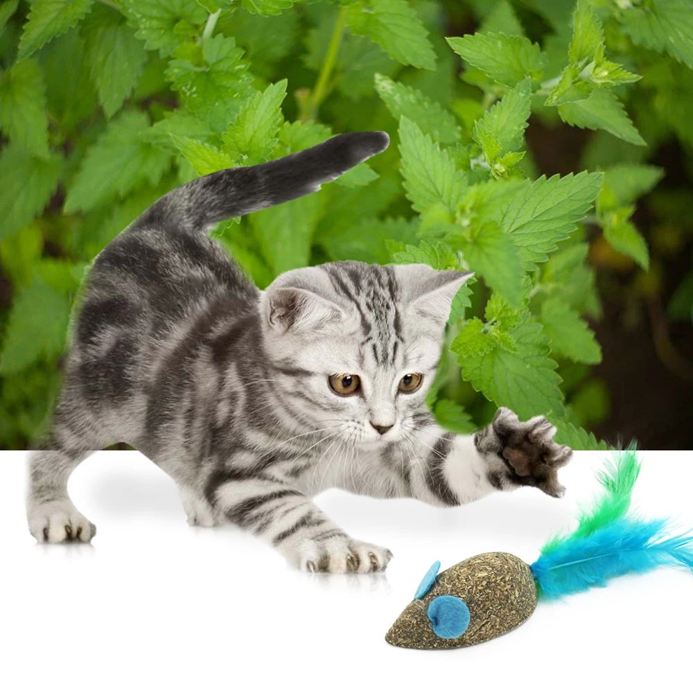 Игрушка для домашних питомцев кошачьи перья молярная удочка кошек кошачий