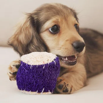 

2pcs Dog Tennis Ball Giant Pet Toys Dog Chewing Toy Ball Dog Training Supplies