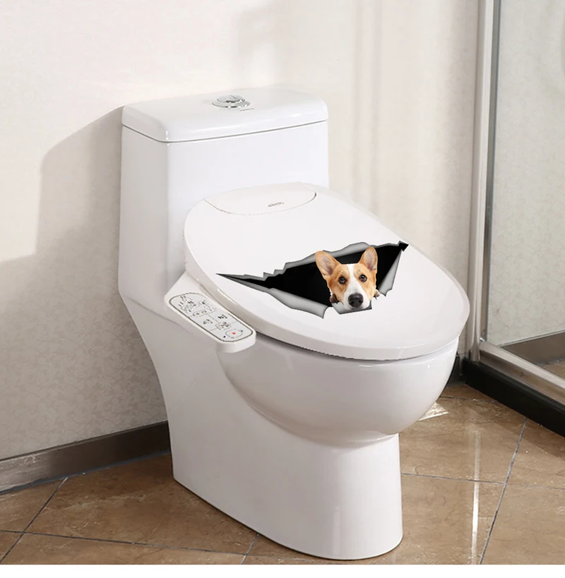 HTB11W2gwMHqK1RjSZFkq6x.WFXaq