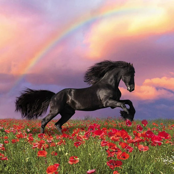 

Horse style Embroidery Counted Cross Stitch Kits Needlework - Crafts 14 ct DMC Color DIY Arts Handmade Decor red poppy