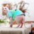 Весенняя Безволосая Одежда Для Кошек Sphinx Cornish/Deven Rex Cat Shirt Designer Cat Hoodie for Small Medium Dogs Cat Pet Clothing
