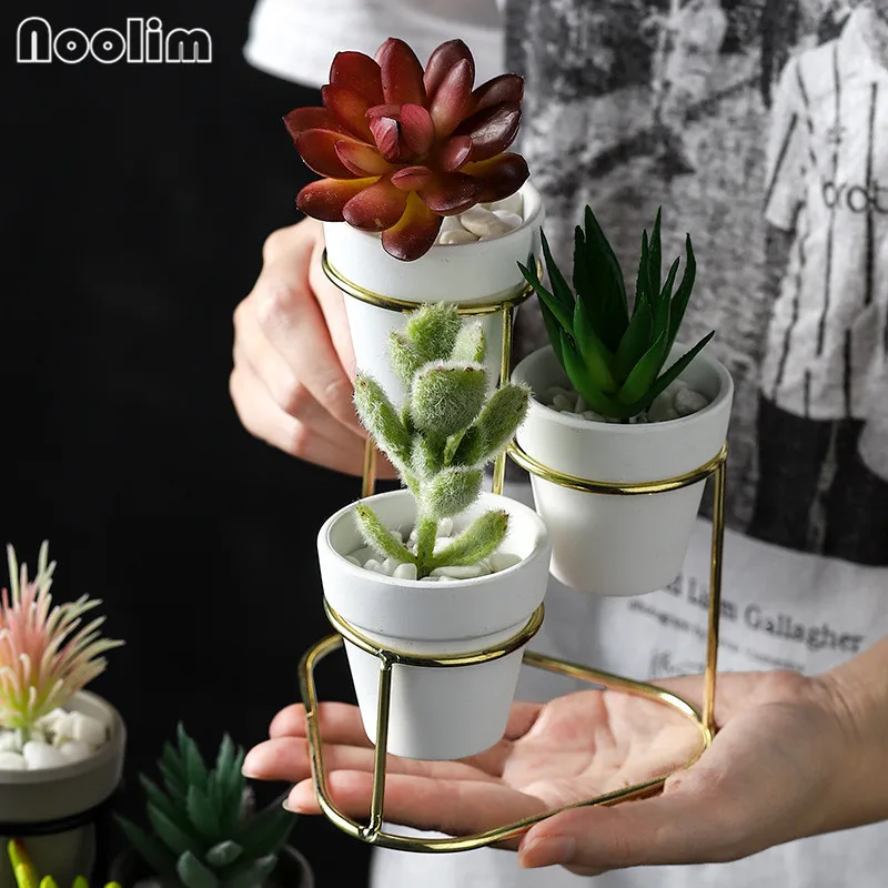 

3 in 1 Succulents Planters Modern Small Flower Pots with Metal Stands Office Decorative Tabletop Cactus Pots Home Decoration