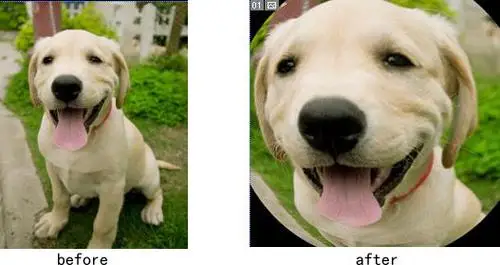 u=2157404110,2311794193&fm=26&gp=0