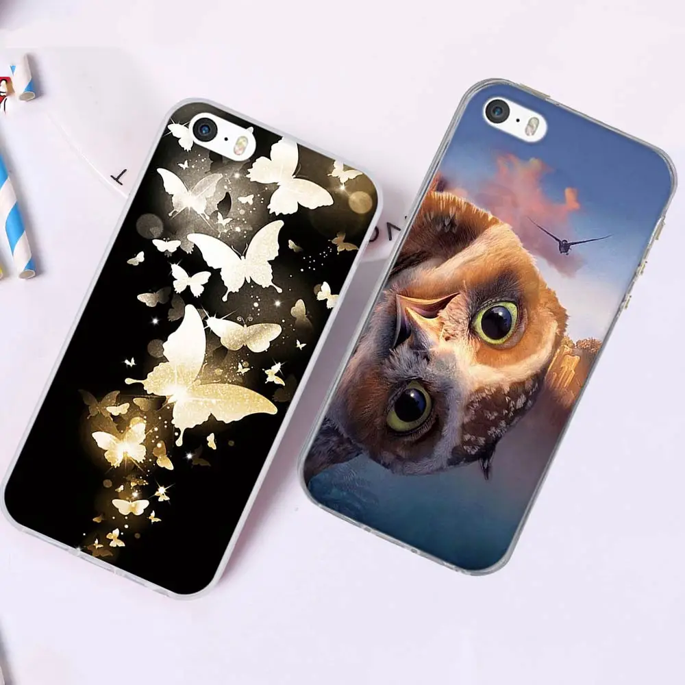 金蝴蝶、猫头鹰-3