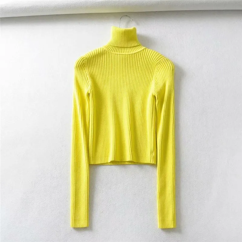 

Neon Green Orange Basic Turtleneck Sweater Women Pullover Knitted Crop Top Fall Streetwear Jumper Slim Sweaters