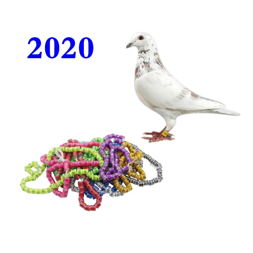 

2020 Durable Digital Bird Foot Rings Pigeon Racing Rings Bird Training Tool Bird Identification foot ring Training Supplies