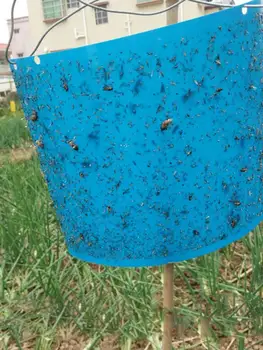 

Dual-Sided Sticky Fly Traps Outdoor Fruit Fly Traps For Plant Insects Aphids Fungus Gnats White Flies Traps Bugs Sticky Board