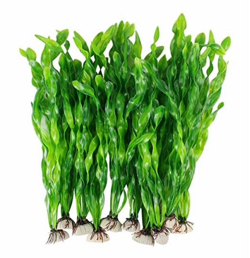 水族館用の人工海藻水生植物 プラスチック水槽植物の装飾10個 装飾 Aliexpress