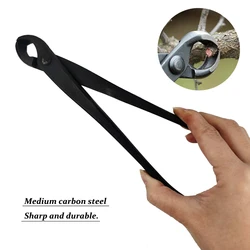Coupe bouton de 205 mm pour débutant, coupe bord concave, bonsaï en acier au carbone, outils de jardin 