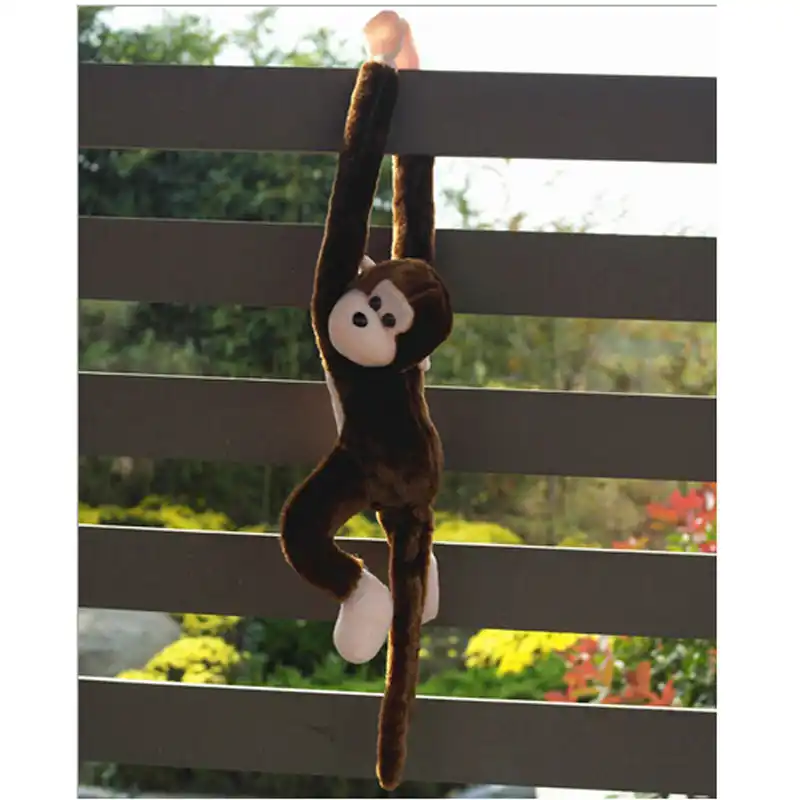 long arm monkey