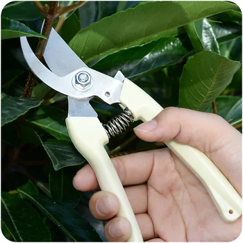 

Scissors Repair Branch Scissors Gardening Scissors A962 Coarse Branch Gardens Fruit Tree Cut Hardware Tool