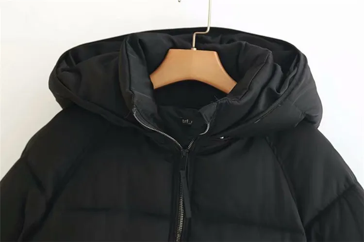 

2019 Europe And America Early Spring New Style WOMEN'S Dress Hooded Waterproof Cotton Coat down Coat Cotton-padded Clothes