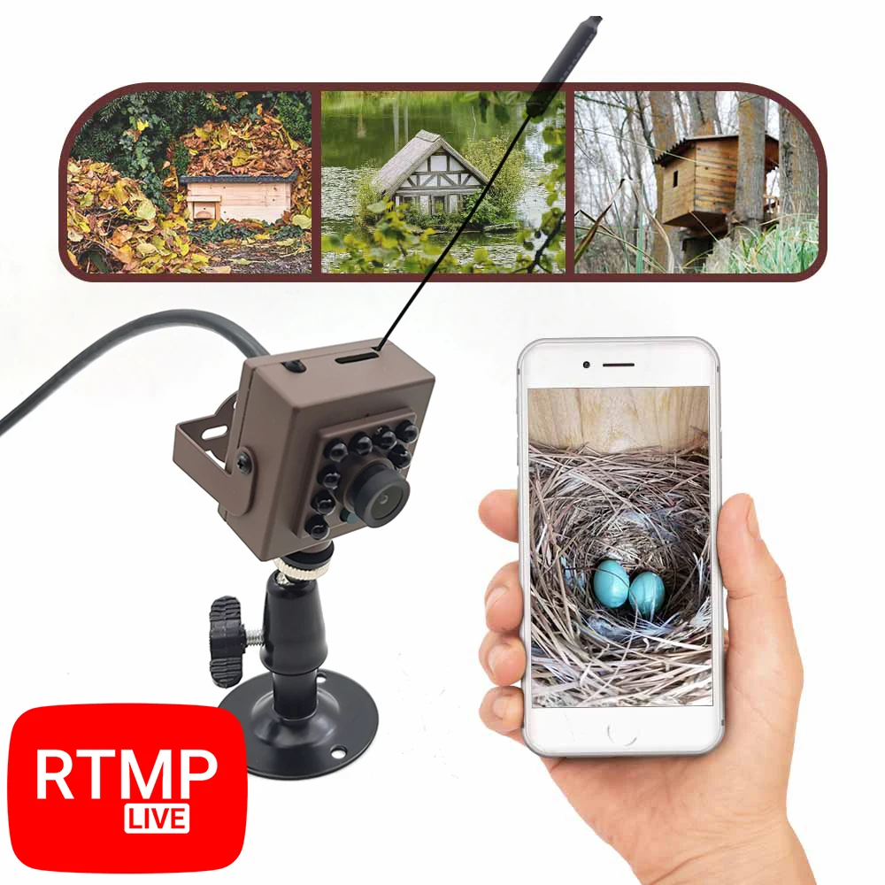 940nm IR Night Vision Bird Watch RTMP Push Stream IP Camera