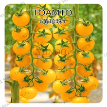 Промо-акция! 200 шт./пакет бонсай растения томатов, восхитительный вишня помидоры садовые, без ГМО растения овощи съестного горшечные растения