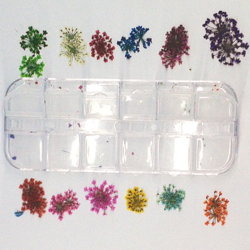 Набор профессиональных сушеных цветов для дизайна ногтей набор модного салона