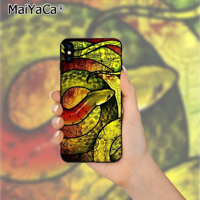 Coral snake animal