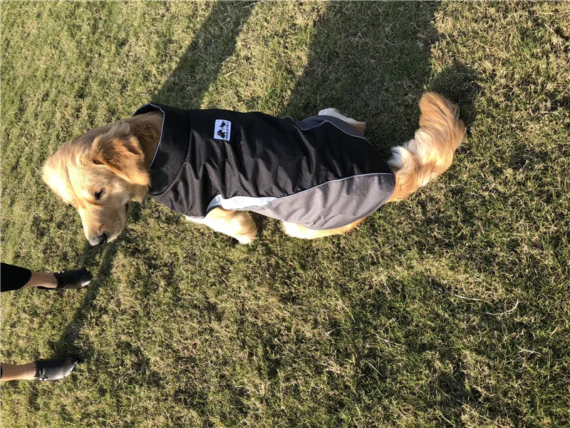 Модная однотонная Флисовая теплая куртка для собак, зимняя куртка, одежда, свитер, водонепроницаемая одежда