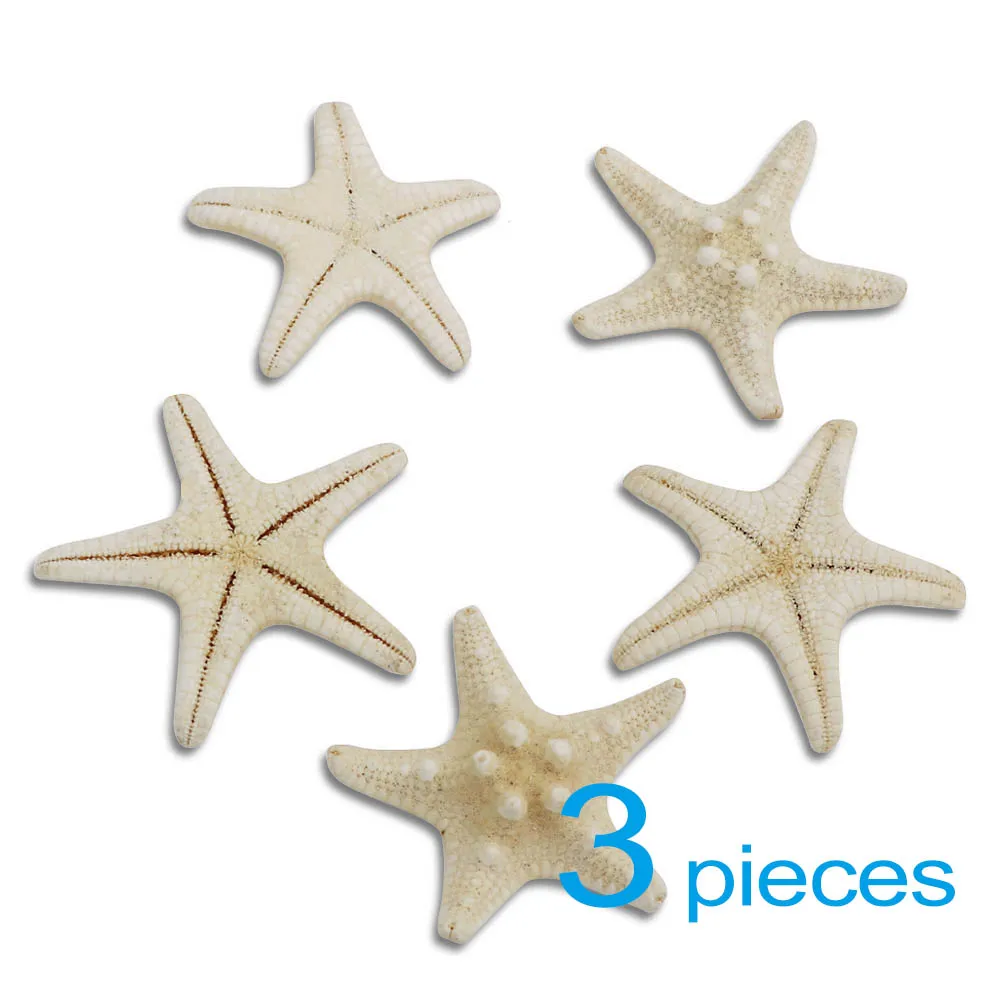 5~ 7 см, 1-6 шт., белые морские звезды, ремесленные украшения, натуральные, на палец, Морская звезда, свадебные, вечерние, бежевые, морские ракушки, ремесла - Цвет: 3pieces