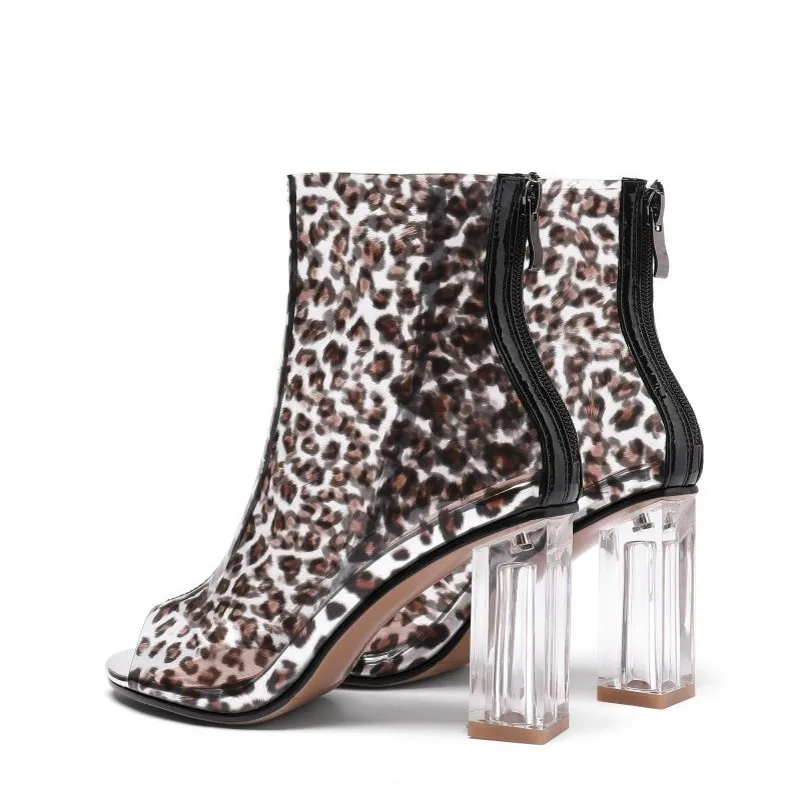 10339074767_1288289221