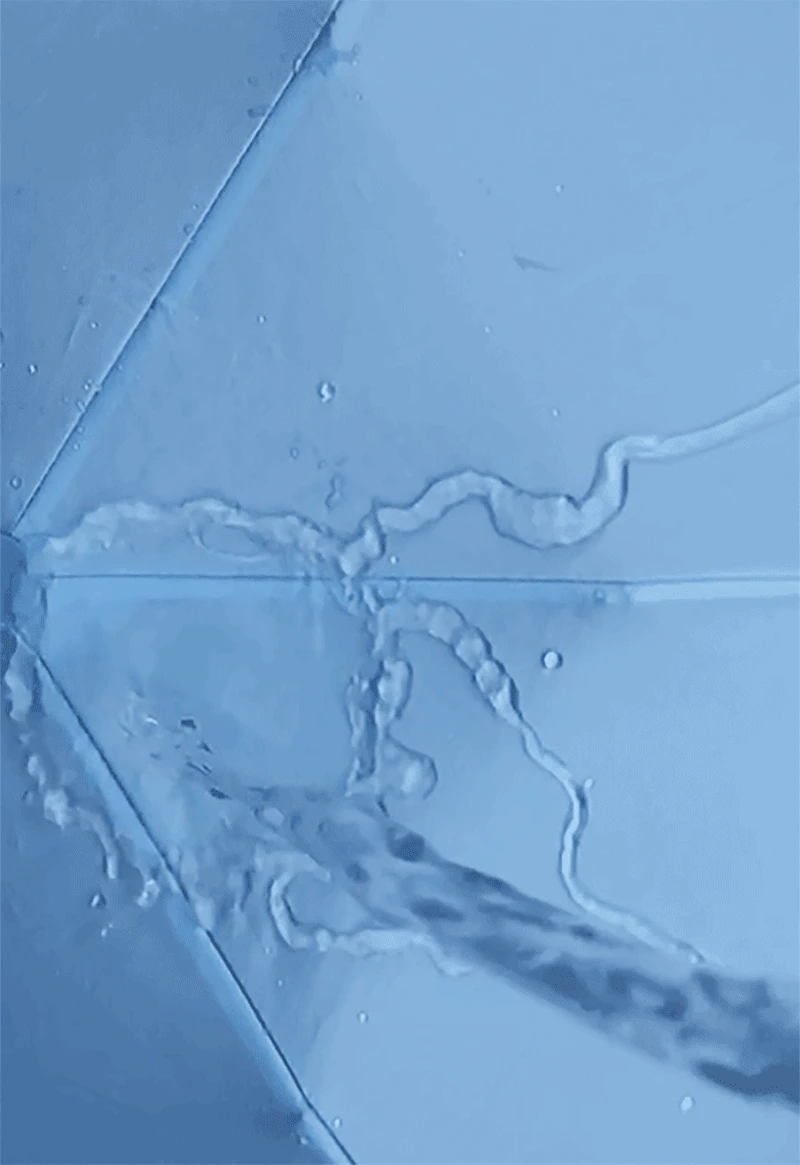 13758180086_558977821