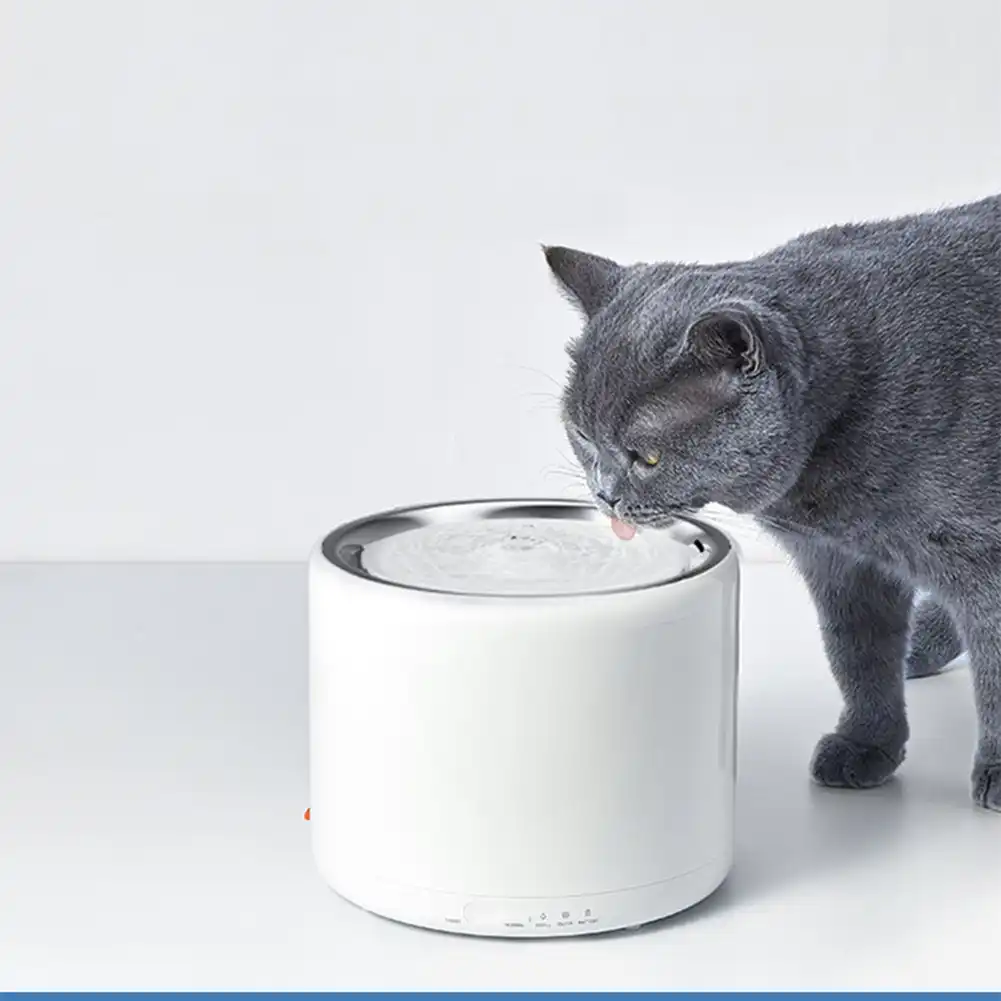 pet water fountain with automatic shut off