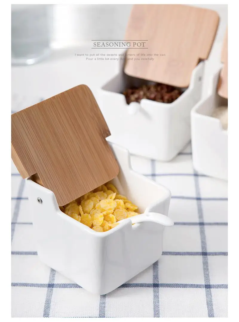 Ceramic Salt Container  (1)