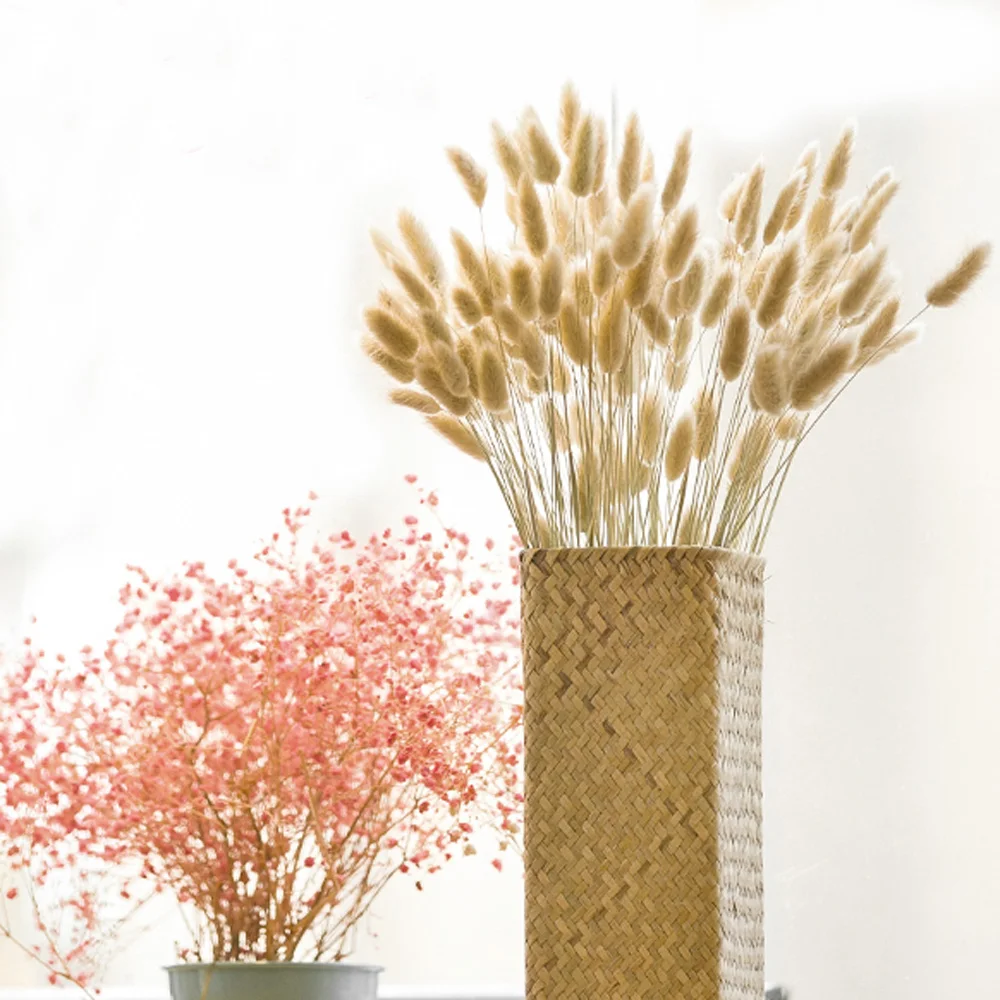 TB2JAQ6IuSSBuNjy0FlXXbBpVXa_!!2041494488