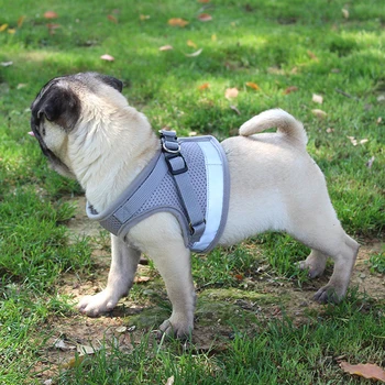 Reflective Dog Harness with Leash Adjustable Pet Harnesses Vest for Small Medium Dog Soft Outdoor Breathable Puppy Chest Strap 5