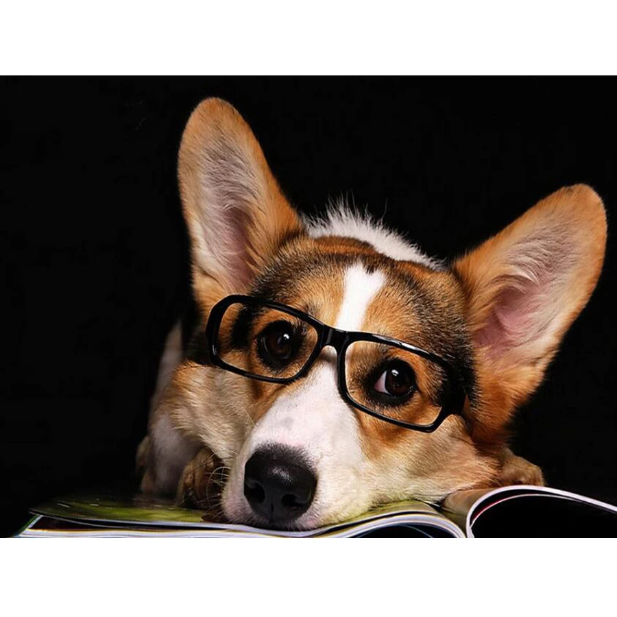 

Diamond embroidery full drill Diamond painting Welsh Corgi Dog Art diy diamond Cross Stitch Rhinestone mosaic wall sticker AA388