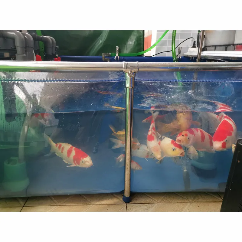 

Lvju Mini Goldfish Aquarium Fish Tank And Aquarium Decoration Marine Aquarium Reef Fish Tanks