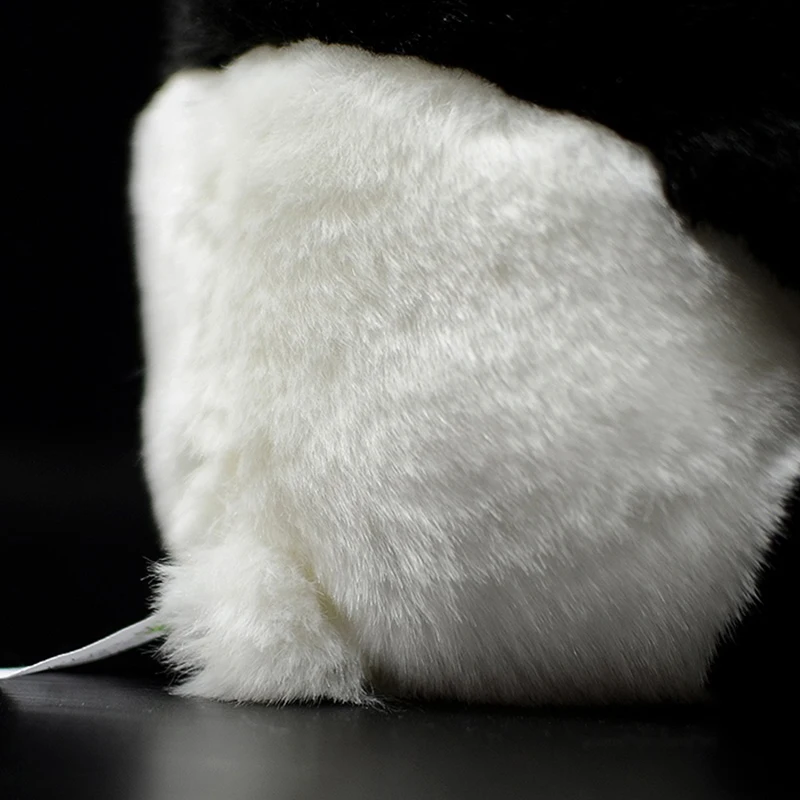 O1CN01xKV13q1Dna05xKm05_!!22080261