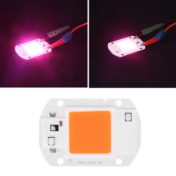 

2019 Plant Growing Light Chip for Purple and Pink Plants for Led Drop Shipping