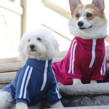 

Cotton Pet Dog Hoodie Spring Sports Costume Clothing Pug Dog Clothes High Collar Suit for Small Dogs Medium Animals Walking